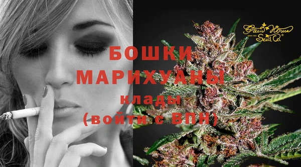 гидра Дмитровск