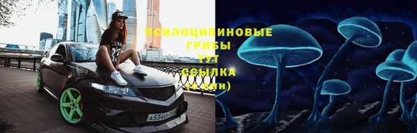 гидра Дмитровск