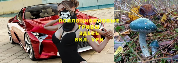 гидра Дмитровск