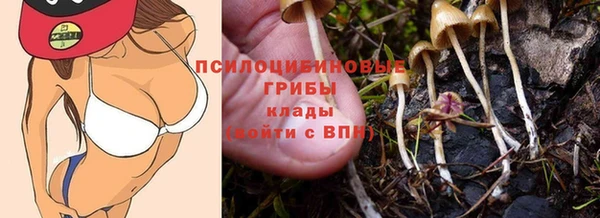 МДМА Дмитров