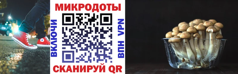 кракен как войти  Нестеровская  Галлюциногенные грибы ЛСД 